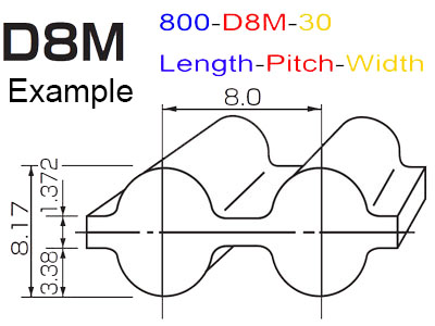 D8M-Belts