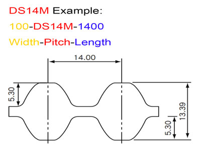 DS14M-Belt
