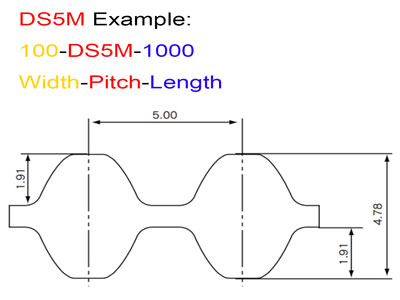 DS5M-Belt
