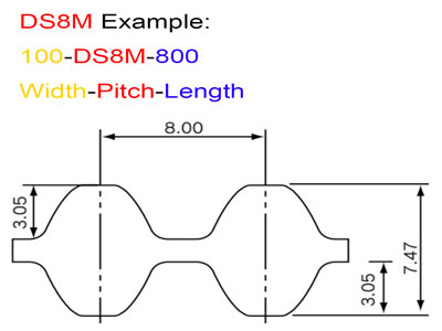 DS8M-Belt