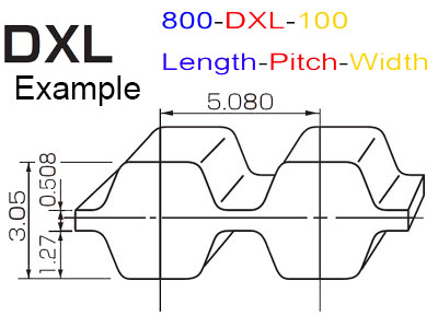 DXL-Belts